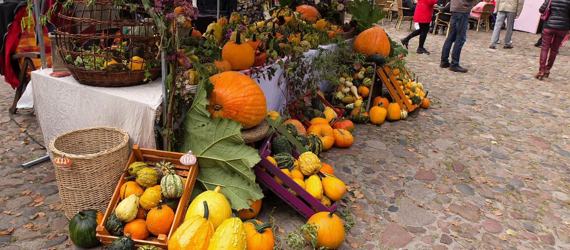 Herfstmarkt Bourtange banner