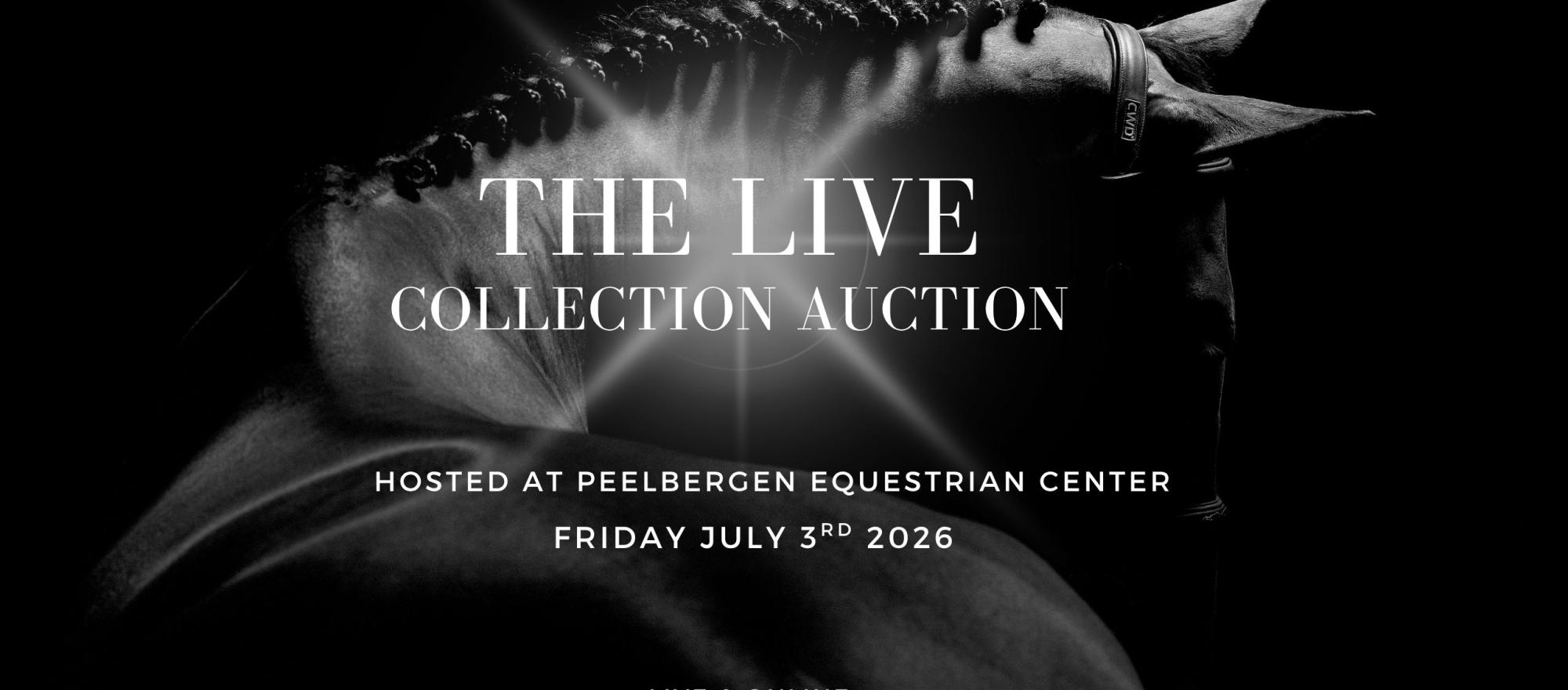 The Collection Auction banner