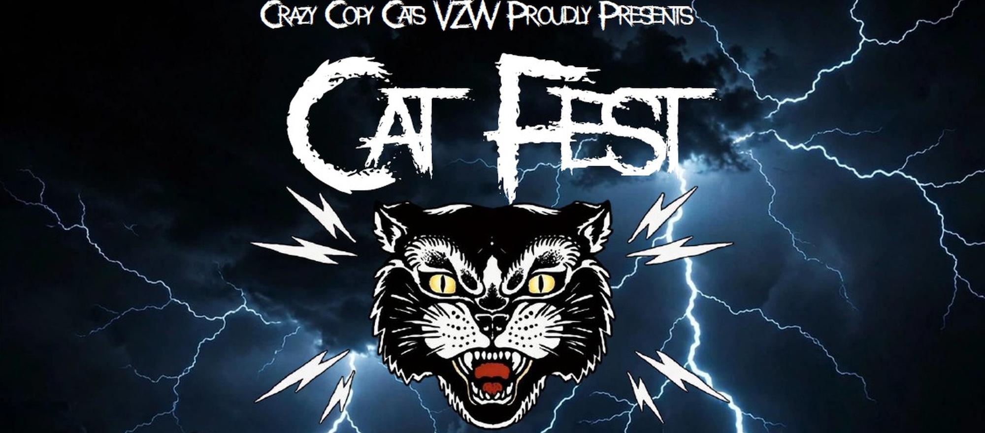Cat Fest banner