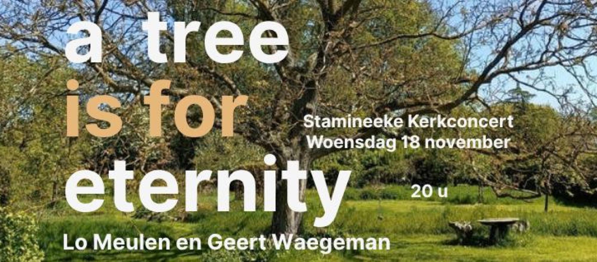 Stamineeke Kerkconcert A Tree is for Eternity banner